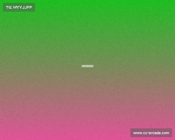 起点电子有限公司