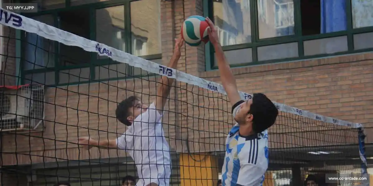 BC贷网址入口——🛹潮流运动，解锁年轻新态度！​